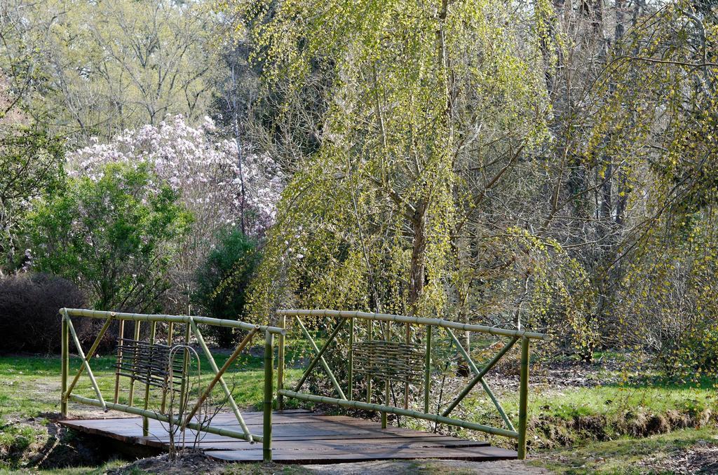 La Demeure D'Aglae Bed & Breakfast Villeneuve-sur-Allier Exterior photo