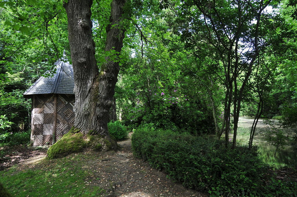 La Demeure D'Aglae Bed & Breakfast Villeneuve-sur-Allier Exterior photo